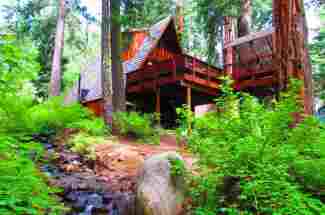 Westshore Cabin Near Homewood